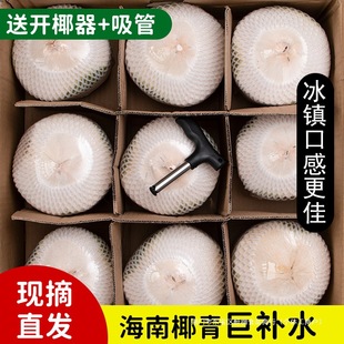 �Fժ�F�l����Ҭ�����rҬ�����䮔��ˮ��ȥƤ��Ҭ���]Ҭ��ˮ����