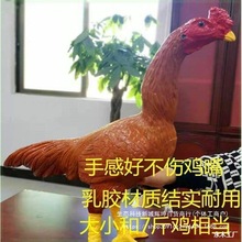 斗鸡用品 橡胶鸡 假斗鸡 斗鸡训练模型 鬼子鸡 假鸡商家配送量大