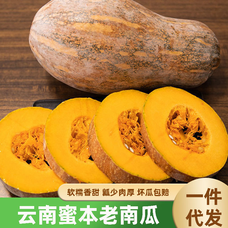 云南老南瓜农家自种当季新鲜粉面甜糯小宝宝辅食整箱蒸煮密本南瓜