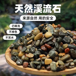 栽培基质;猫砂;造景石