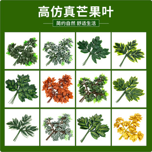�羳�����֦�Ř��~�쾰�t���~����â���~���������^�z�پGֲ�S��