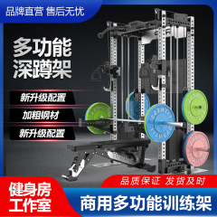 REP総合トレーニングラック小飛鳥ガントリースミス深しゃがみラック商用多機能家庭用フィットネス器材