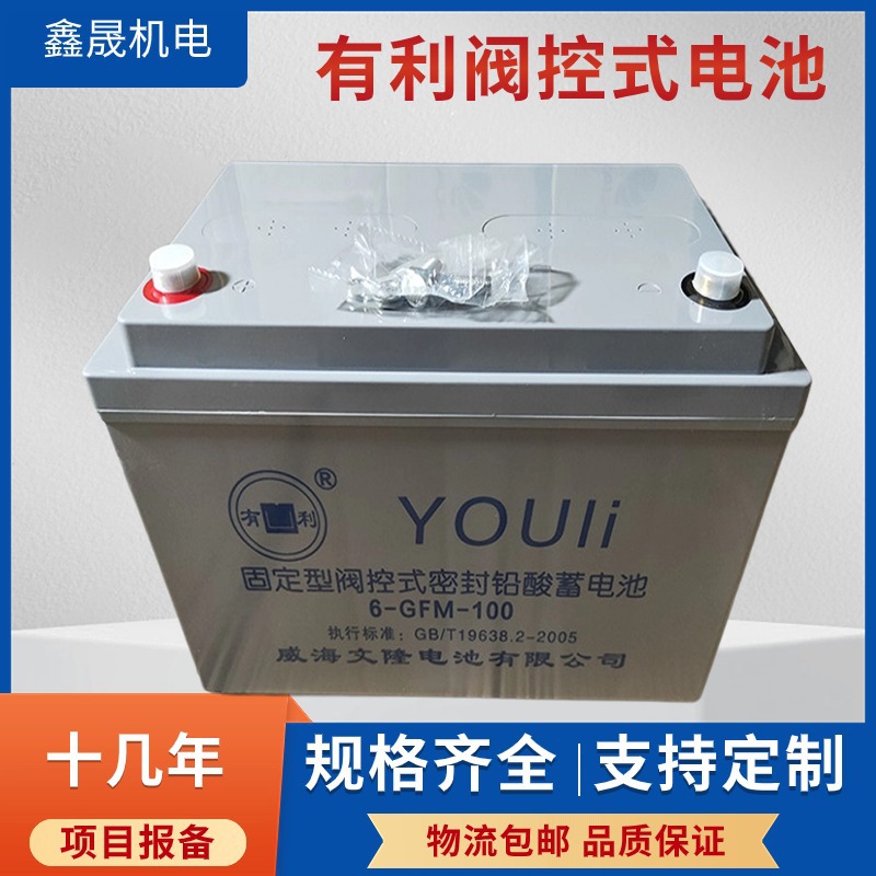 威有利隆电源海文蓄电池6-GFM-65 12V6H UPS电源咨询客服屏用蓄