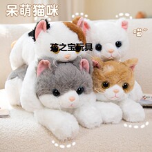 �羳�¿�؈����߹��пɐ�С؈��ë�q���ރ�ͯ��؈��鱧��