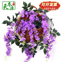 ���Q���l�F�z6�^�������ٽ��򻨴���c�������F�z�����P�l�ٗl