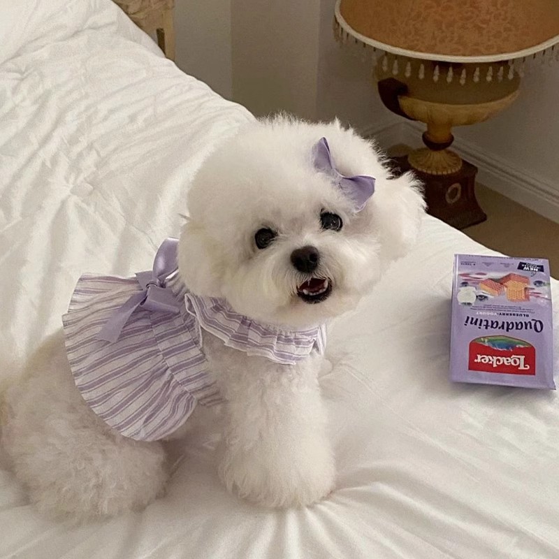 애완 동물 줄무늬 공주 스커트 여름 얇은 테디 비숑 포메라니안 작은 강아지 고양이 개 여름 익스트림 카이