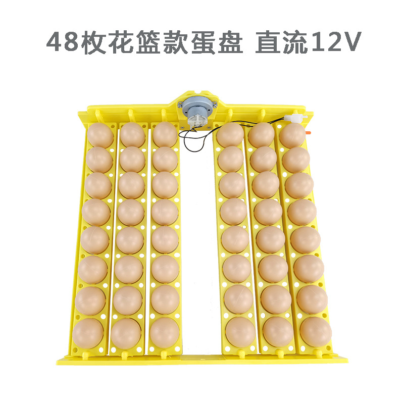 48 Placa de huevo de codorniz de pato de pollo huevo automático torneado pequeño hogar mini incubadora Placa de huevo con motor suministro transfronterizo