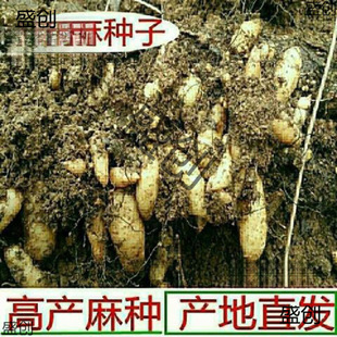 ����F�ڴ��N�NֲҰ������N�Ӹ߮a�҃�������N�������r��