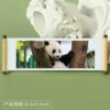 Panda 216