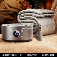 家用智能双人水电分离水循环水暖冬季宿舍恒温电加热电褥子电热毯