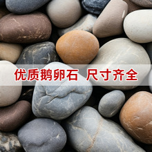 鹅卵石水处理雨花石变电站滤油池河滩石道路园林绿化铺路河卵石