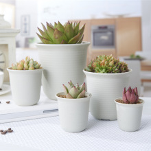 �S�����l��NҎ��������L�����ϻ���ֲ�������Ԏ��бP