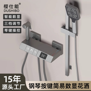 Shower All Copper Set Pressurized Nozzle Handheld Shower Without Top Spray Simple Shower Engineering Spray Gun with Lifting Rod