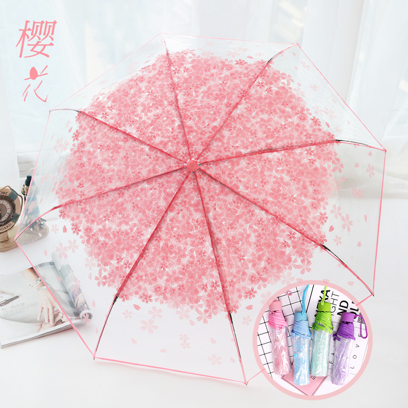 Korean Style Umbrella Folding Cute Cute Goddess Korean Style Fresh Style Simple Mori Style 30% Japanese Cherry Blossom Transparent Umbrella