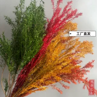定制永生花千层金天然真花跨境居家插花氛围感婚庆软装DIY配材