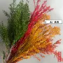 跨境天然婚庆定制永生花