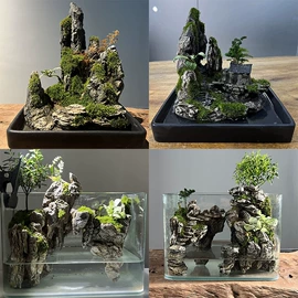 造景/装饰;花盆容器;造景石