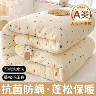Class a Soybean Quilt Core Spring & Fall Quilt Student Dormitory Single Winter Quilt Quilt Winter Thickeneded and Warm 24 New Styles