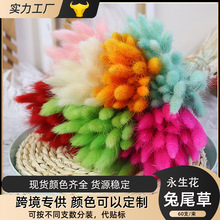 ��β�ݸɻ�������������b�diy������������β�Ͳ����l�Ĕz����