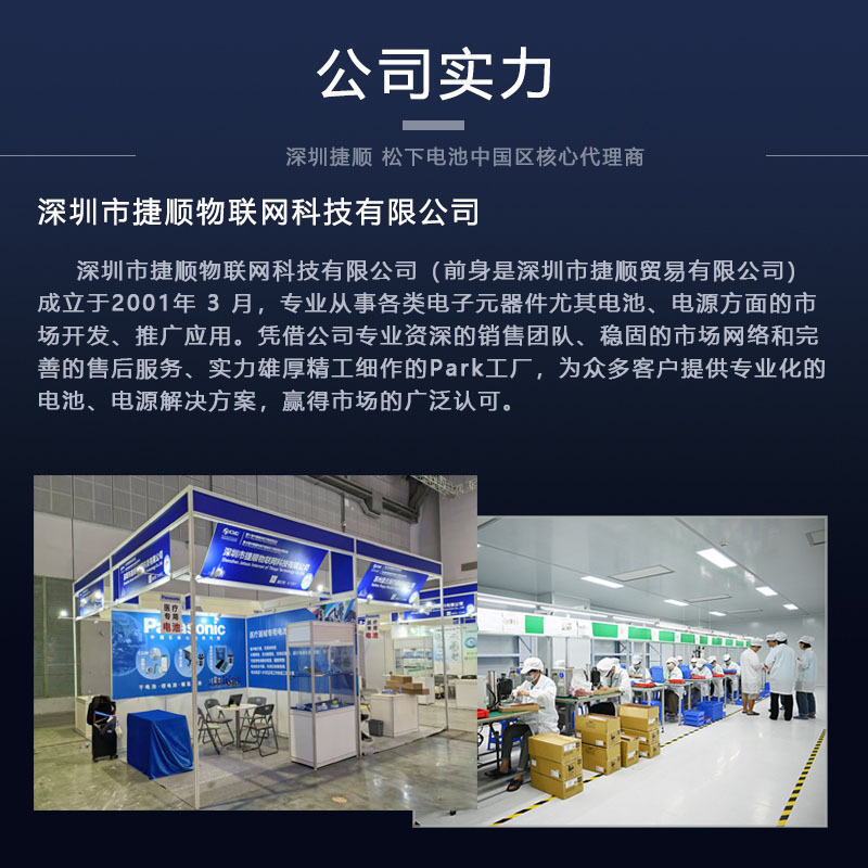 松下电池 工业装电池 卡装消费类电池