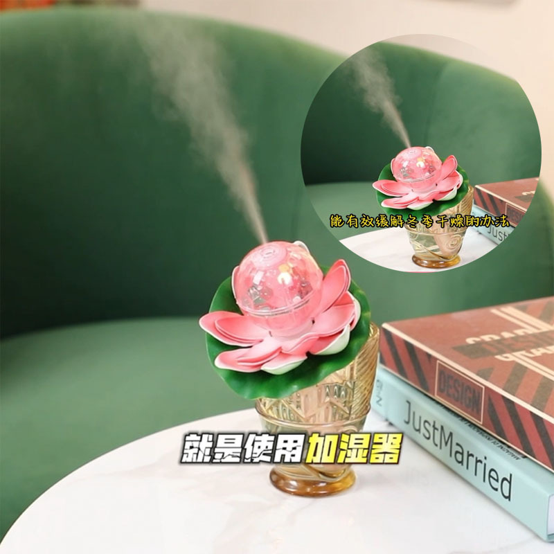 小荷花3.jpg