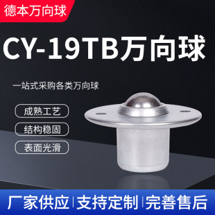 �f���� CY25T 19T ���ɝL��  ţ��݆ �f��L�� ���ܝL�� �p��