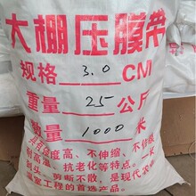 ���l���Ҵ��Ĥ����Ĥ�������������������