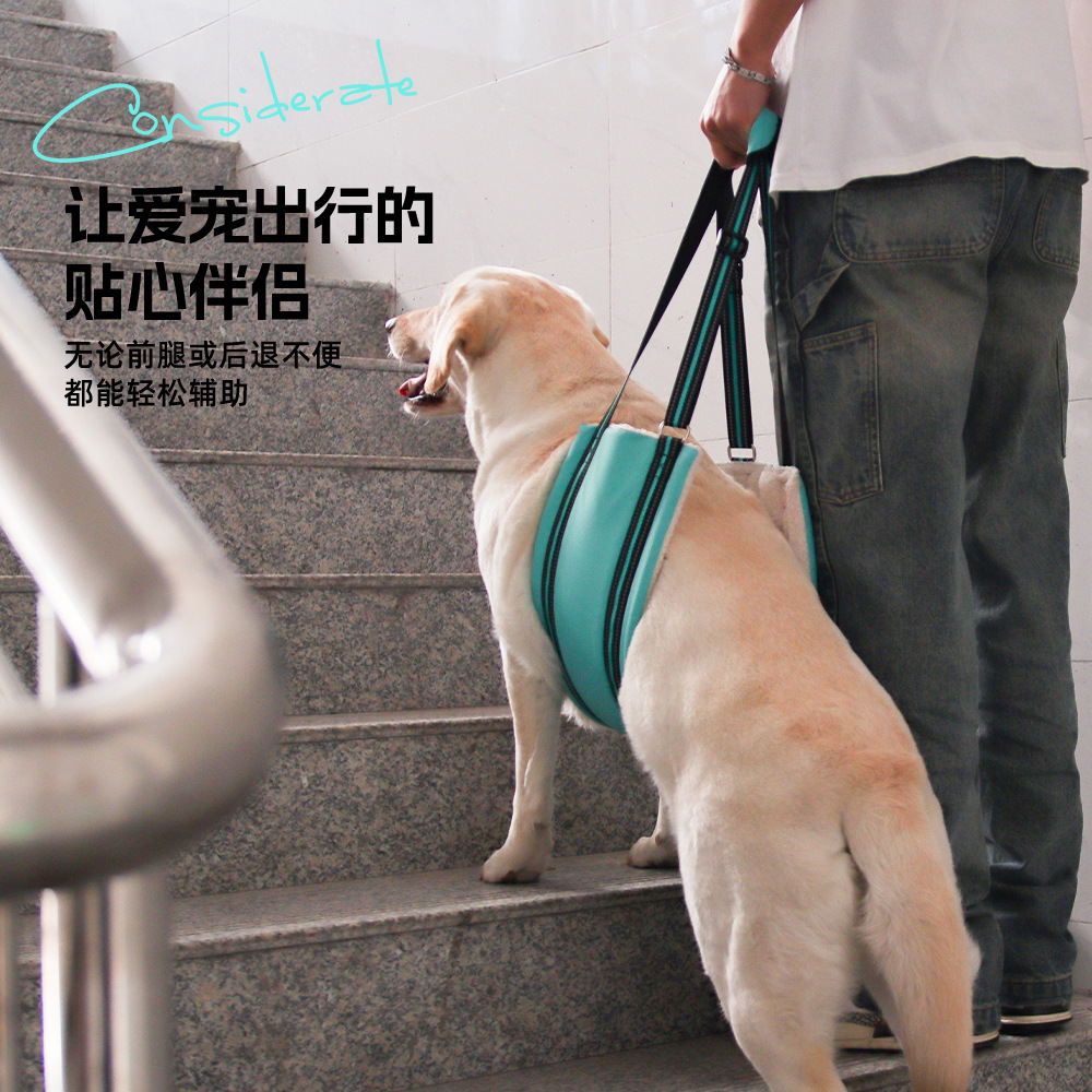 Ayuda para mascotas explosiva de Amazon con correa para perros mayores, entrenamiento de rehabilitación para perros ajustable, correa para el pecho al por mayor