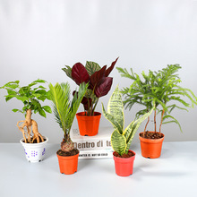 �G�}С���԰lؔ���҃�����С�Gֲ�Ҹ�������޹�²���β�����Ի���