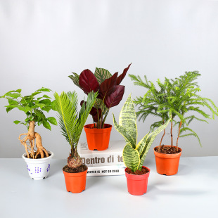 �G�}С���԰lؔ���҃�����С�Gֲ�Ҹ�������޹�²���β�����Ի���