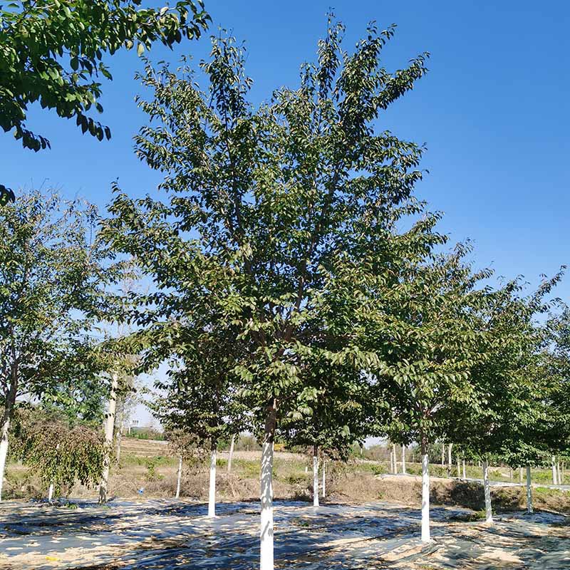 IMG_20221013_110025 副本.jpg