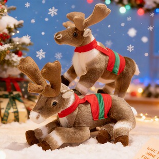 �}�Q��������¹����ë�q����Z¹С¹��ż���ރ�ͯ�}�Q�Y���b�