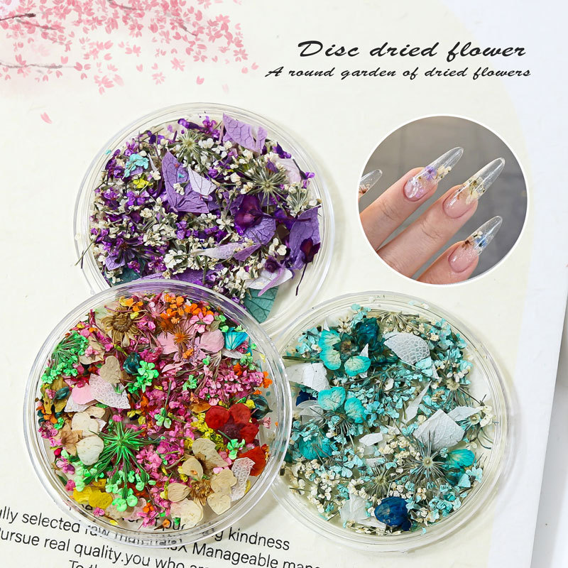 Japanese style ins style nail art dried flower Monet garden oil painting color matching small floral mixed boxed nail art jewelry wholesale