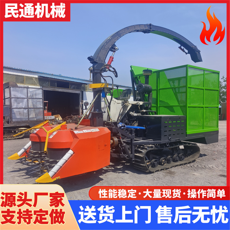 小型履带圆盘青黄储收获机皇竹草收割粉碎自走式青贮机