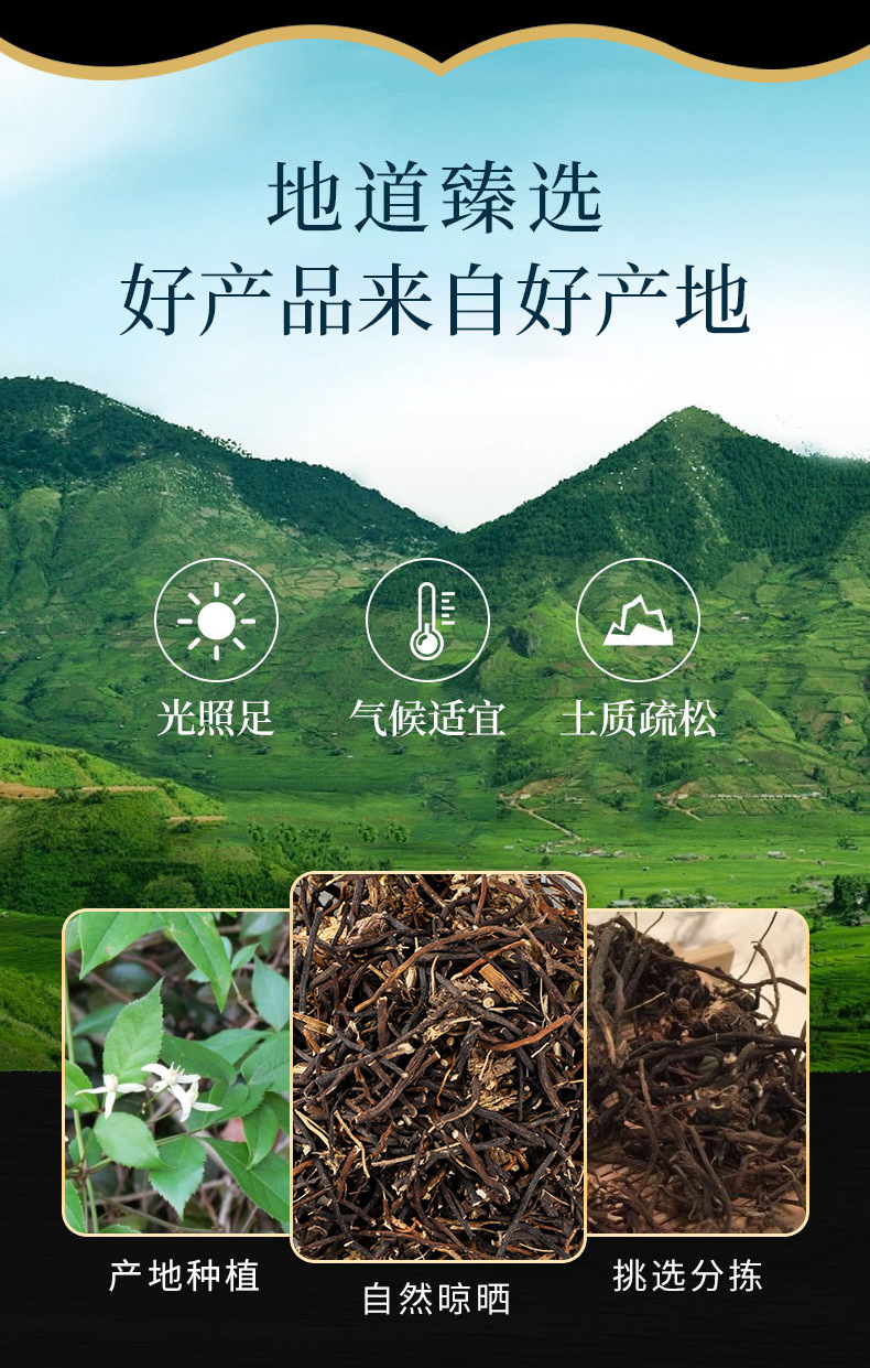 Wei Ling Xian (Clematis chinensis) — Dried Chinese Clematis Root, Food Herb for Decoction & Tea overview
