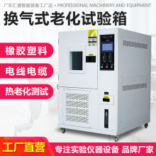 换气式老化试验箱橡胶加速老化实验箱塑料线缆通风式热老化测试箱