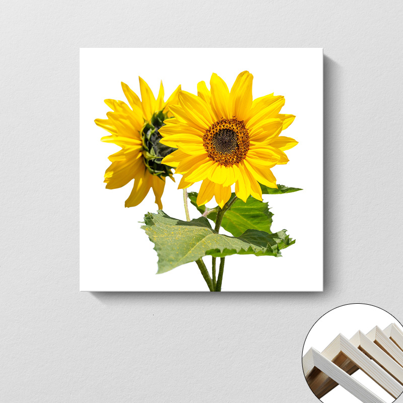 Pintura decorativa coreana girasol Sala de estar moderna y simple flores de sol colgando pintura mural del dormitorio del restaurante pintura cuadrada sin marco