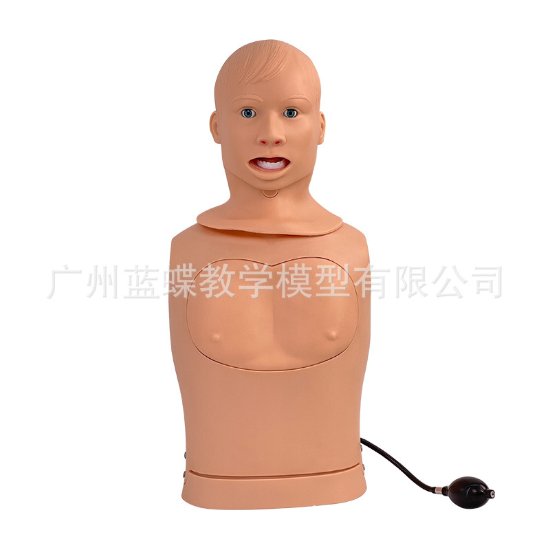 ��θ�������ܻ���ģ�ͱ��ǹ�ģ���п���̵ѵ�����ܲ��ϴθ��θ��