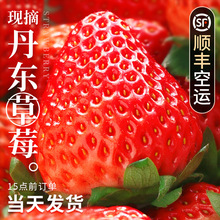 ���|99��ݮ���rˮ��5������t����;ž�ţ�̴�����3��S���]