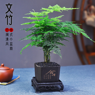 �ķ�����������辰����ʽ�����҃��k������̨����Gֲ���Ҕ[��