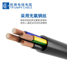 H03VV-FWCEJC|H05VV-Fo׾ԄӻO̖Դ