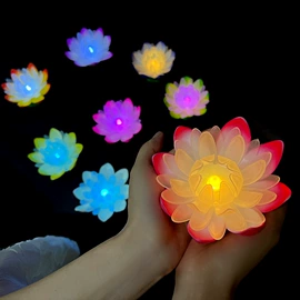 景观灯;灯笼;孔明灯