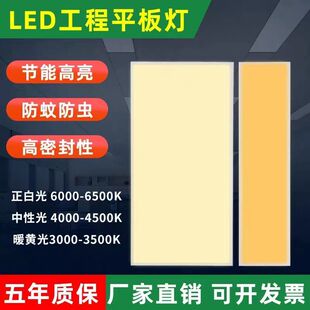 Integrated Ceiling 300X120Led Panel Light 600X1200Led Light Embedded Neutral Light Warm Light Panel Light