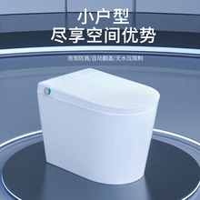 С����ȫ�����RͰһ�w�Ԅӷ��w����ʽ�������oˮ��AI�Z�����N�S�N