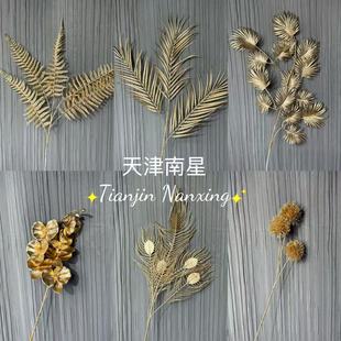 ��c���ϻ���ɫϵ���Ļ�c�Ƶ��b����긣Ͱ������廨�S��ֱ�N