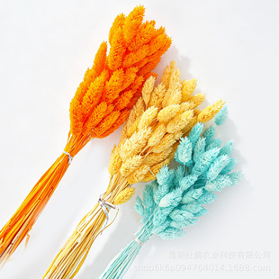 ��ʯ�ݸɻ� ��β�Ͳ��������ɻ�DIY���ϻ�ˇ������l�����羳���u