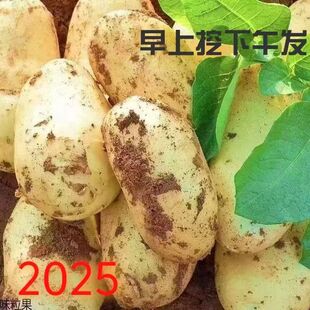 ɽ�|���r���������R����SƤ�S�Į����r�aƷ��Ŵ�F�ڬF�l