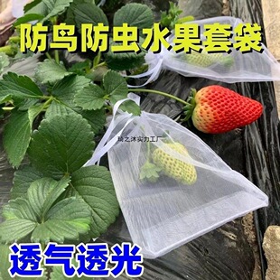 �׹��������W�������״��ӷ��B�W���xˮ�����x�W����ݮ͸���