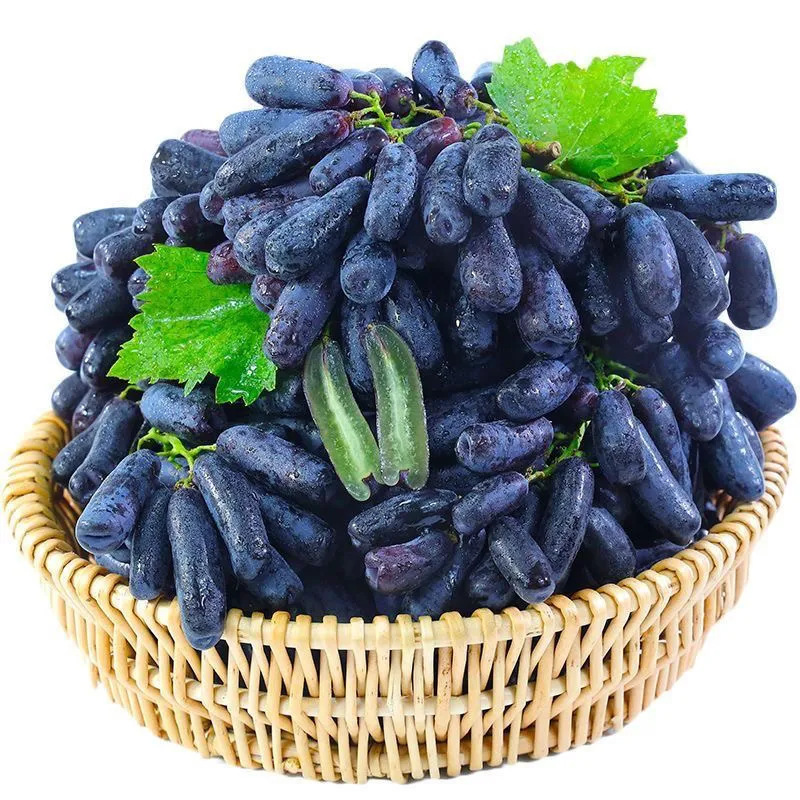 Shanxi Sapphire Grapes Direct from the Place of Origin, Seasonal Fruit Grapes, Free Shipping Via Sf Express, Three Types of Grapes in One Package, Dropshipping Available Shanxi Sapphire Grapes Direct from the Place of Origin, Seasonal Fruit Grapes, Free Shipping Via Sf Express, Three Types of Grapes in One Package, Dropshipping Available