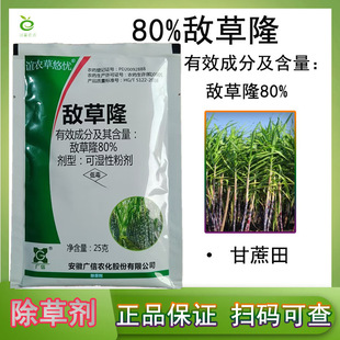 80%����¡������݄��R�Ƴ��݄��rș�ݸ��